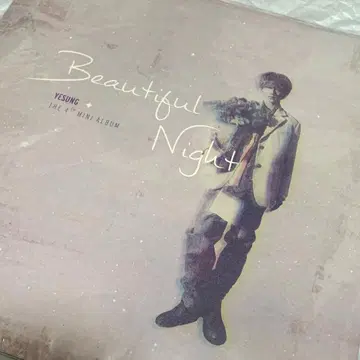 BEAUTIFUL NIGNT 초회 한정판 LP 레코드
