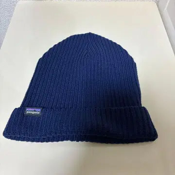 Patagonia 피셔맨 롤드 비니