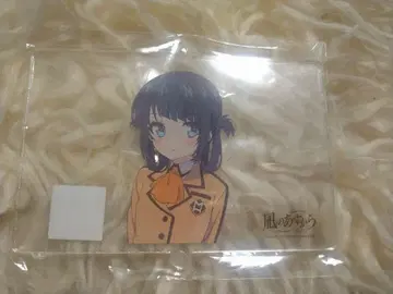 나기아스 아크릴 키링 미우