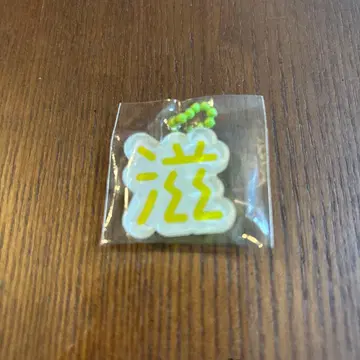 게지난 키링 새상품