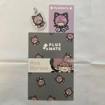 성성망공 PLUSMATE 플러스메이트 POPUP 스토어 엽서