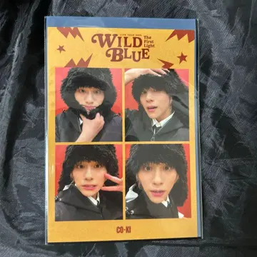 WILD BLUE 가입 혜택 야마시타 코키