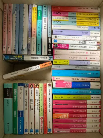 소설 문고본 묶음 판매 80권 초과