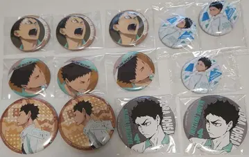 하이큐!! 이와이즈미 하지메