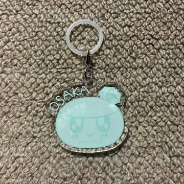 seventeen 봉봉이 표식 참 메지루시 참 키링