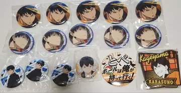 하이큐!! 카게야마 토비오