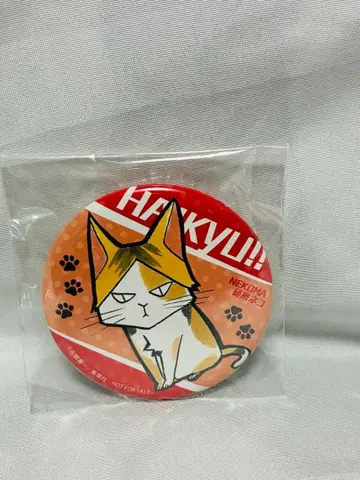 하이큐 코즈메 켄마 연마 고양이 캔뱃지 초레어 동물 Ver. 현상 당선