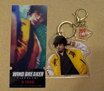 영화 WIND BREAKER 토카게 죠 하마오 노리카타 윈드브레이커