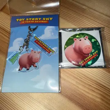 토이스토리 도쿄 스카이트리 아크릴 키링 캔뱃지 햄 30주년