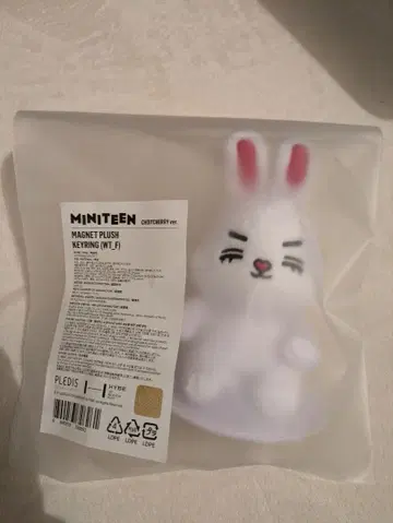MINITEEN 마그넷 키링 승철 체체리