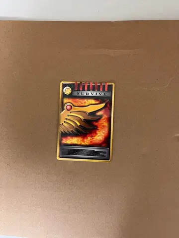 SURVIVE & MOVEMENT GUIDE 카드 세트