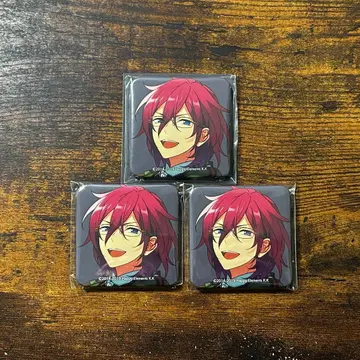 앙스타 TRIP 앨범 특전 캔뱃지 Eden Adam 사에구사 이바라