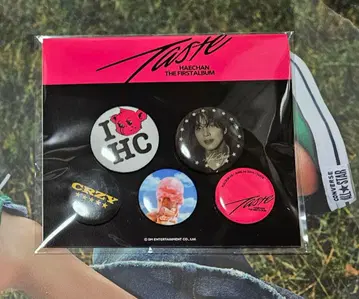 해찬 taste 핀 버튼 세트