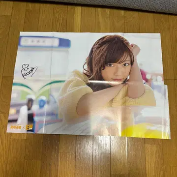 시마자키 하루카와 요코야마 유이 양면 포스터 B2