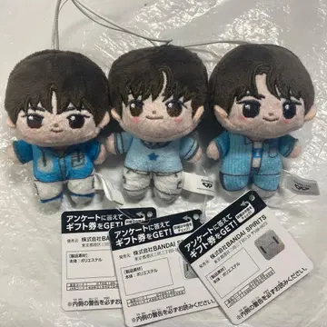 TWS 호와누이 3체 세트