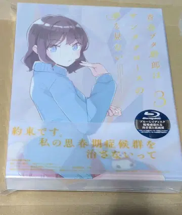 청춘 돼지 녀석은 산타클로스의 꿈을 꾸지 않아 3 완전 생산 한정판