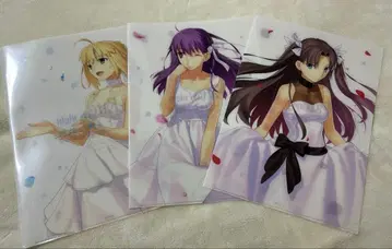 페이트 타입문전 클리어 파일 세트