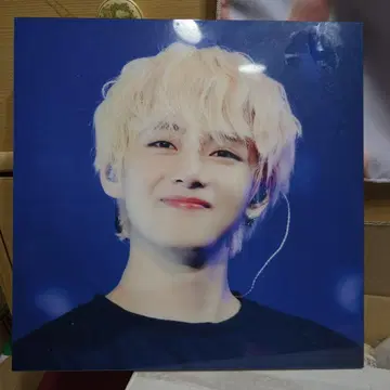 BTS 태태 마스터 액자 약 24 x 24