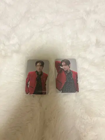 ROIROM 하마카와 미치키 포토 카드 트레이딩 카드