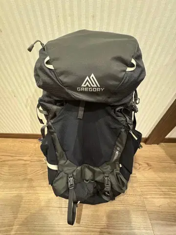 GREGORY 그레이 백팩