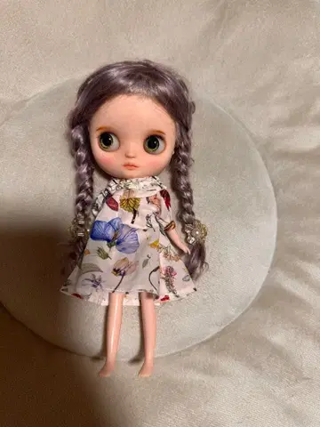 커스텀 미디 브라이스