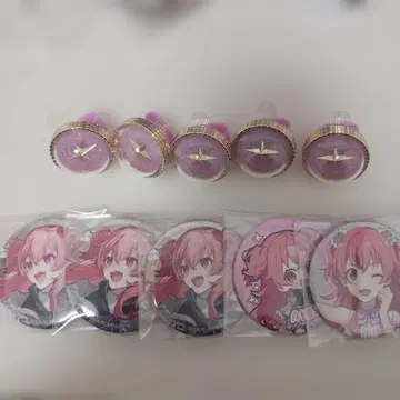 모모이 아이리 묶음 판매 3장까지 있음