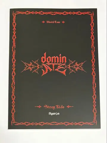 현진 hyunjin Dominate 엽서 북 스키즈