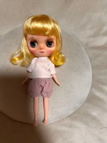 커스텀 미디 브라이스