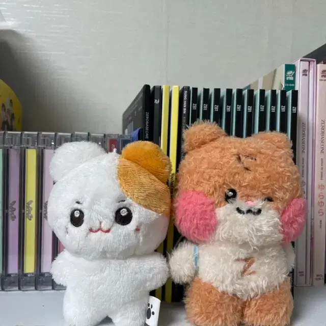 제베원 앨범,인형,위시 앨범 컵홀더(라이즈도