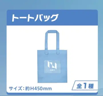 INI 토트백 GIGO 한정판