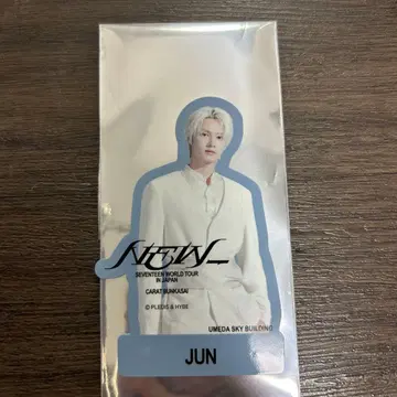 SEVENTEEN 준 다이컷 스티커