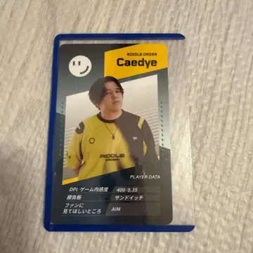 vcj 플레이어 카드 RIDDLE Caedye