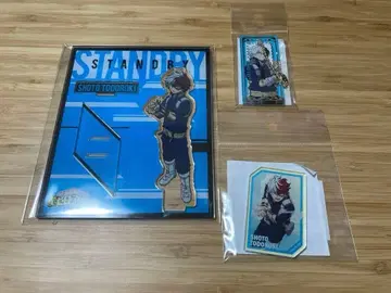 히로아카 토도로키 쇼토 묶음 판매