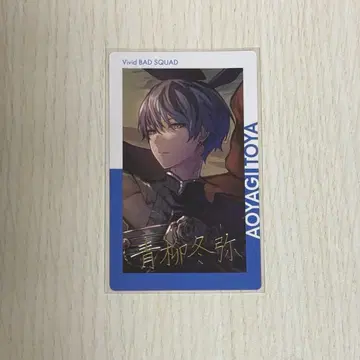 프로세카 아오야기 토야 에피카 14C 금박