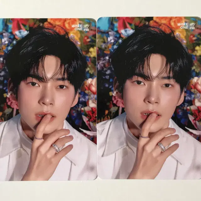 제베원 일본앨범 유라유라 타워레코드 성한빈 특전포카