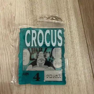 CROCUS 아크릴 키링 6월 4일