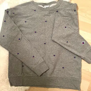 champion 그레이 트레이닝복 한정판 디자인이었습니다.