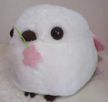 복복 시마연가 봄빛 화창 벚꽃 울트라 BIG