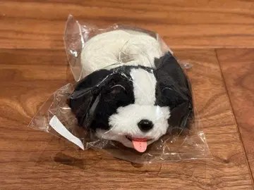 sumika 이로하 봉제 인형 밴딩