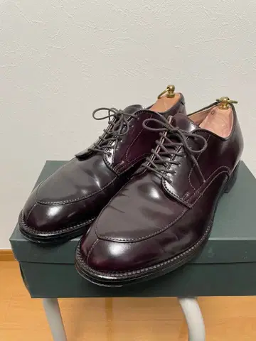 Alden V 칩 8D 코도반 54321 모디파이드 버건디