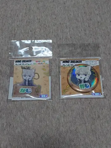 WIND BREAKER 윈브레 카지 렌 우인도브레이냐 캔뱃지