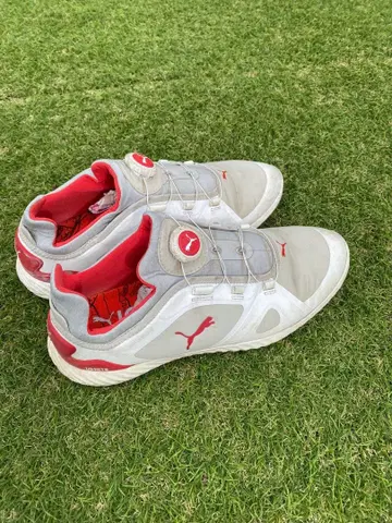 Puma 골프화 화이트/레드