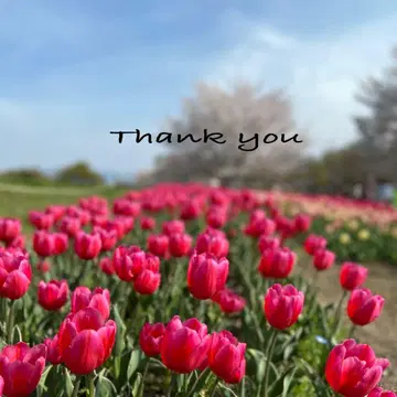 Sora님 10cm 인형 의류*2벌