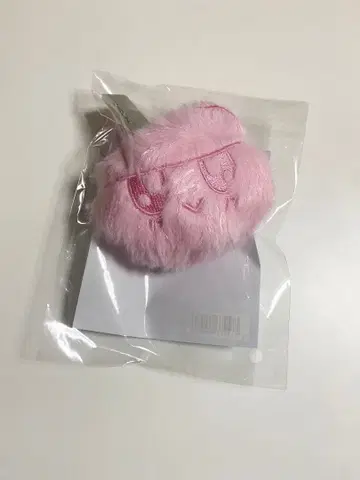 SEVENTEEN NEW_ 굿즈 봉봉이 키링 도쿄 새상품