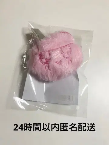 SEVENTEEN NEW_ 굿즈 봉봉이 키링 도쿄 새상품