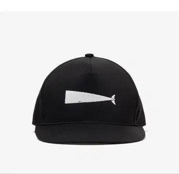 descendant CACHALOT TRUCKER