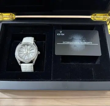 ICE TEK 아이스테크 손목시계