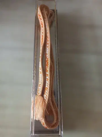 오렌지가 귀여운 허리띠