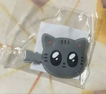 TXT 회장 한정판 캡슐 토이 태현