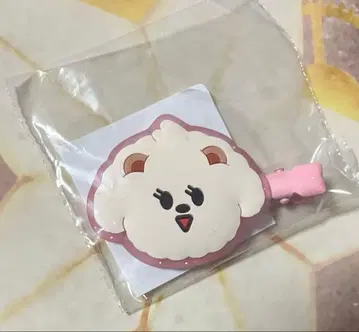 TXT 회장 한정판 캡슐 토이 범규